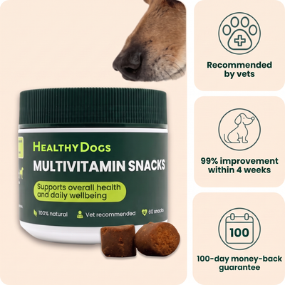 Multivitamin Snacks